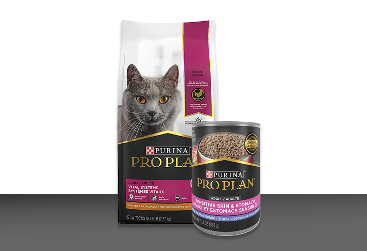 Purina pro plan club best sale